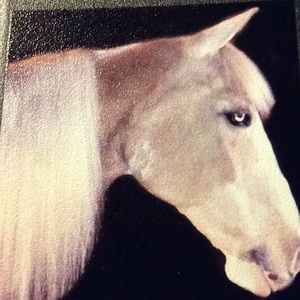 Meet your Posher, Louise